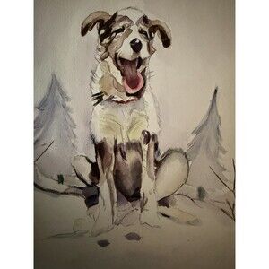 Original Watercolor Dog Painting Art Pet Portrait Artwork 15 X 11 Border Collie